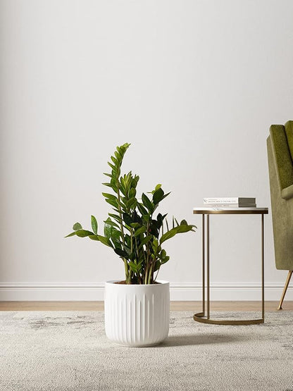 LE TAUCI Fluted Ceramic Planters Set of 3 – 8.3/7 / 5.7 in White Cylinder Indoor Plant Pots with Drainage Plug & Mesh, Matte Glazed Stoneware Flower Pots for Succulent Herb Cactus