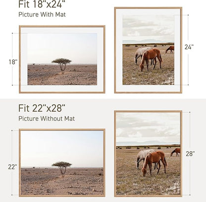 22x28 Poster Frame Set of 2 Natural Solid Oak Photo Frames with 18x24 Removable Mat Wall Hanging Large Handcrafted Frame with HD Plexiglass Wall and Tabletop Display Large Picture Frame