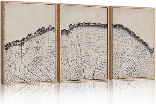 HPINUB Vintage Wood Tree Rings Wall Art Set, Framed Canvas Paintings, Black and White Nature-Inspired Decorative for Modern Home Decor for Living Room, Bedroom, Dining Room, Office- 16"x24"x3