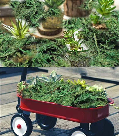35 OZ Artificial Moss for Fake Plants and Planters - Decorative Faux Moss for Craft and Home Decor