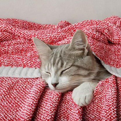 MIULEE Red Super Soft Throw Blanket for Couch, Cozy Fluffy Warm Blankets Lightweight Knit Throw Blankets for Sofa, Bed, Chair, Living Room, Camping, Picnic, 60 x 80 inch