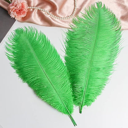 THARAHT Green Ostrich Feathers 12pcs Large Natural Bulk 14-16Inch 35cm-40cm for Wedding Party Centerpieces Mardi Gras and Home Decoration Feathers