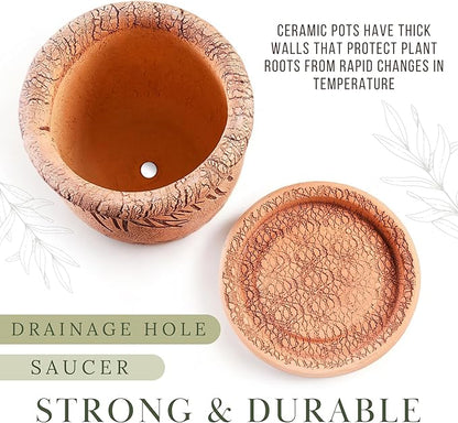 Ceramic Pot with Drainage Hole and Saucer, Plant Pots, Modern Decorative Planters for House Plants Indoor Flowers Plants, Cute Flower Pot - Gifts (Mushrooms)