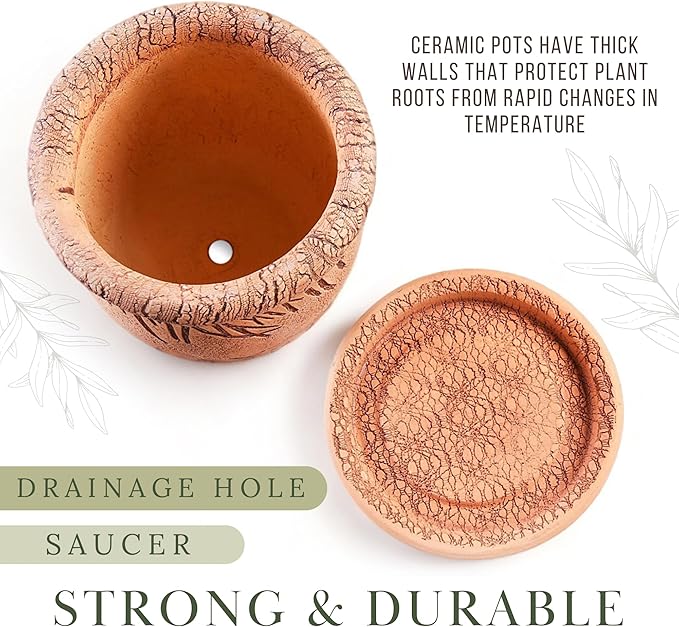 Ceramic Pot with Drainage Hole and Saucer, Plant Pots, Modern Decorative Planters for House Plants Indoor Flowers Plants, Cute Flower Pot - Gifts (Cats (3 L))