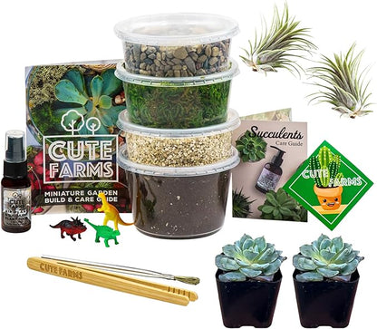 Cute Farms Terrarium Starter Kit | Moss, Vermiculite, Soil, Pebbles, Plant Food, & Finishing Tools (Medium Kit + Live Plants)