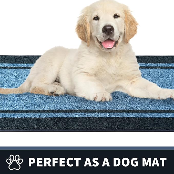 PURRUGS Dirt Trapping Door Mat 24" x 84", Non-Slip/Skid Machine Washable Entryway Rug, Shoes Scraper, Area Rug, Super Absorbent Welcome Mat for Muddy Wet Shoes and Paws, Light Blue & Navy