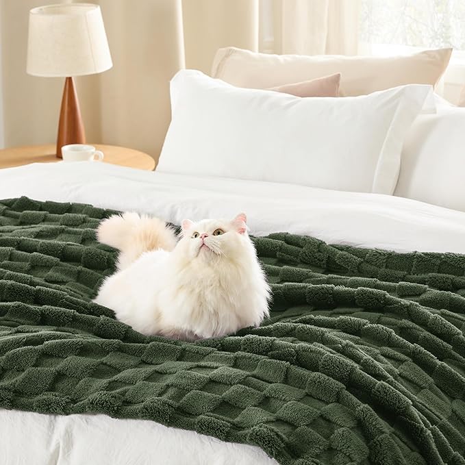 Bedsure GentleSoft Twin Blanket for Bed Bronze Green - Super Soft Cozy Blankets for Women Men Girls, Cute Fuzzy Fleece Throws for Bedroom Couch, 60x80 Inches