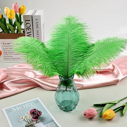 THARAHT Green Ostrich Feathers 12pcs Natural Bulk 10-12Inch 25cm-30cm for Crafts Wedding Party Centerpieces Mardi Gras and Home Decoration Feathers