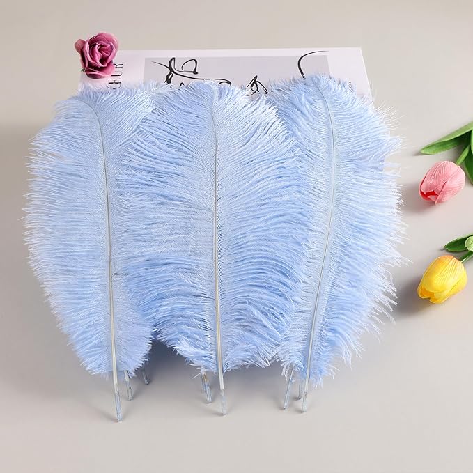 THARAHT Light Purple Ostrich Feathers 12pcs Natural Bulk 10-12Inch 25cm-30cm for Crafts Wedding Party Centerpieces Easter Gatsbi and Home Decoration Feathers