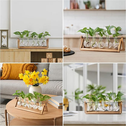 YIBOT Propagation Stations,Plant Terrarium with Wooden Stand,Plant Lover Gifts for Women for Hydroponics Plants Home Garden Wedding Decor(5 Bulb Vase)