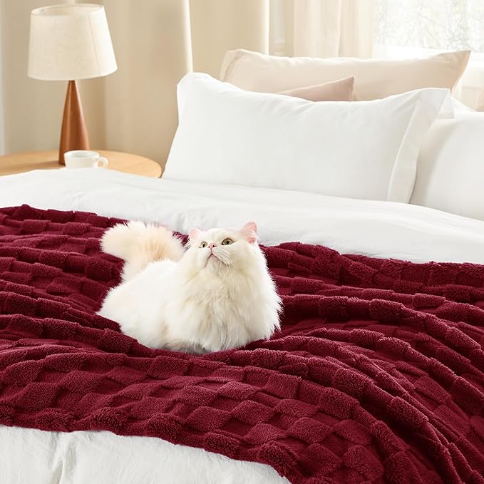 Bedsure GentleSoft Fall Throw Blanket for Couch - Checkered Fleece Red Blankets Gifts for Women Men Girls, Cute Soft Cozy Throw for Bedroom Home Decor Gifts, 50x60 Inches
