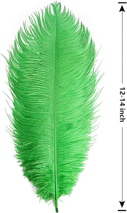 THARAHT Green Ostrich Feathers 12pcs Large Natural Bulk 12-14Inch 30cm-35cm for Wedding Party Centerpieces Mardi Gras and Home Decoration Feathers