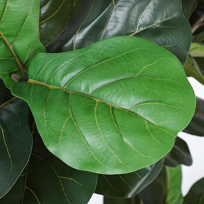 Artificial Fiddle Leaf Tree, 5ft Faux Plant Fake Ficus Lyrata Silk Trees with White Planter, Artificial Fig Trees Floor Plants for House Office Living Room Indoor Home Decor, Housewarming Gift