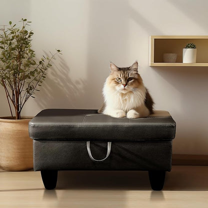 Ottoman Rectangular Storage Ottoman Bench, Faux Leather Footrest, Coffee Table, Stool Footstool with Hinged Lid for Living Room, Bedroom, Entryway, Black, 28.5"x19"x17.5"