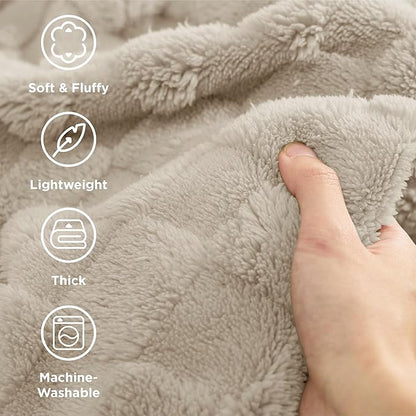 Bedsure GentleSoft California King Blanket for Bed - Super Soft Cozy Blankets for Women Men Girls, Large Fuzzy Fleece Throw for Bedroom Decor, Light Brown, 102x96 Inches