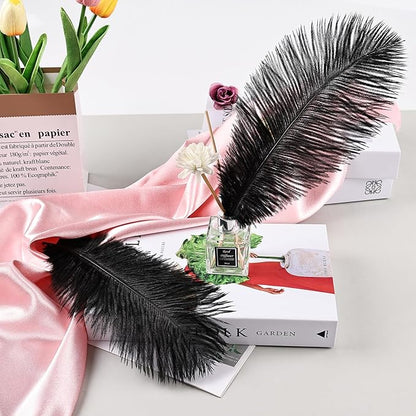 THARAHT Black Ostrich Feathers 12pcs Natural Bulk 10-12Inch 25cm-30cm for Crafts Wedding Party Centerpieces Halloween and Home Decoration Feathers