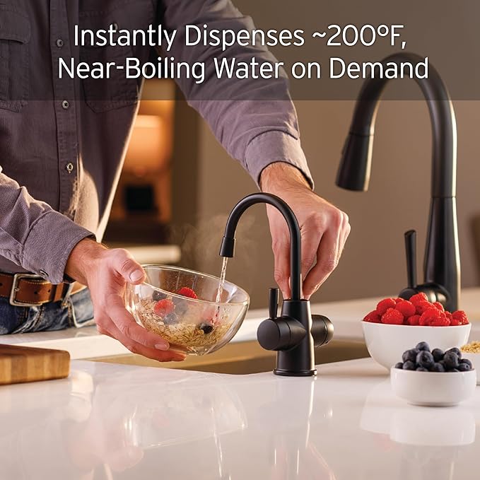 InSinkErator Stainless Steel Tank, HC250MBLK-SS HOT250 System & F-1000S Standard Under Sink Water Filtration System for Instant Hot and Cold Water Dispenser System