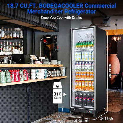 BODEGACOOLER Commercial Beverage Refrigerator Glass Door,18.1 Cu.Ft Commercial Display Merchandiser Fridge,Upright Display Bar Cooler with Soft LED Light,Adjustable Shelves,Aluminum Door,Black