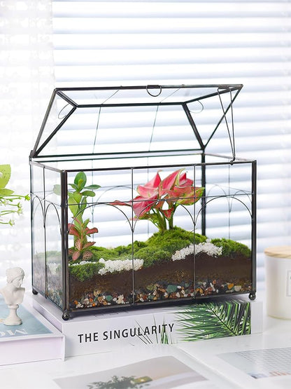 Handmade Glass Planter Terrarium with Lid, Indoor Tabletop Centerpiece Display Box Modern Decor DIY Gift Plant Terrarium Container for Succulent Cacti Air Plants Flower (Black)