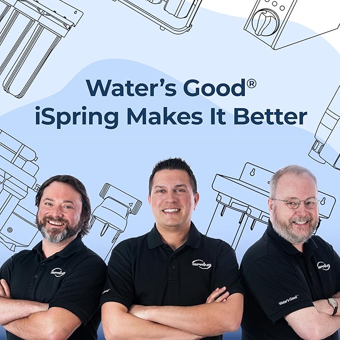 iSpring FCNCDS SGS-Tested Chloramine Removal CTO Carbon Block Replacement Water Filter Cartridge for DS4 Series