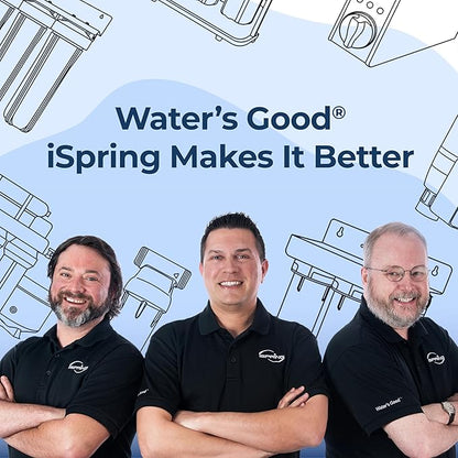 iSpring FCNCDS SGS-Tested Chloramine Removal CTO Carbon Block Replacement Water Filter Cartridge for DS4 Series