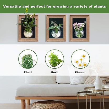 Walnut Wooden Frame Wall Hanging Planter for Hydroponic Plants，12'' x16''inch Wall Vase with Oblate-Shaped Acrylic Propagation Station，Bathroom, Office, or Living Room Decor, Set of 3