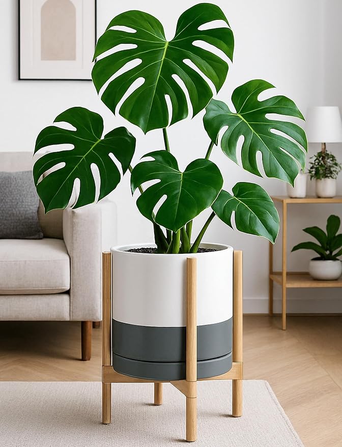 D'vine Dev Ceramic Planter with Natural Stand - 12 Inch Modern Round Flower Pot with Wood Planter Holder, White/Grey, 55-B-J-6