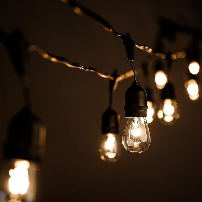 Hometown Evolution, Inc. 24 Foot E26 Outdoor Commercial String Lights with Suspended Socket for Weatherproof Heavy Duty Vintage Outside Lighting - Set of 12 S14 Clear Bulbs