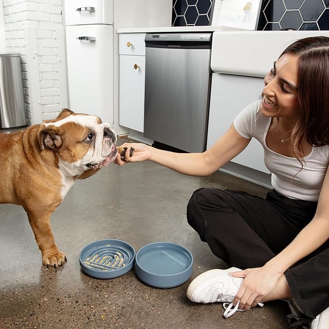The Slowdown Bowl Silicone Slow Feeder for Dogs & Puppies, Slow Eating, Modern Lick Mat Design, Reduces Gulping, Fits 2 Cups 7.5” Across x 1.5” Tall, Mealtime Challenge, Medium-Sand