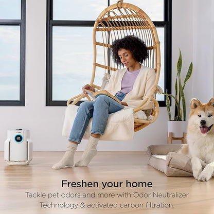 Shark NeverChange Air Purifier Compact Pro with Long-lasting HEPA Exceeding Filtration, Captures Pet Dander, Dust, Smoke, and Allergens, up to 250 sq. ft. for Bedroom, Home Office, Dorm, HP072PK