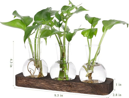 YIBOT Propagation Stations,Plant Propagation Vase,Desk Plant Terrarium with Retro Wooden Stand,Plant Lover Gifts for Women for Hydroponics Plants Home Garden Wedding Decor(3 Vase)
