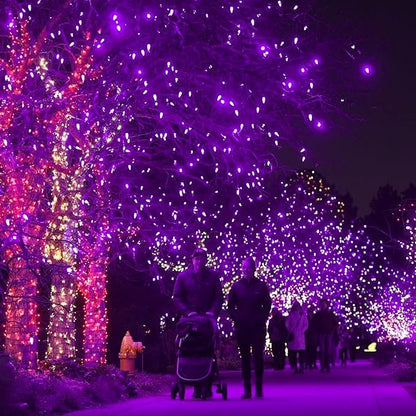 DAZZLE BRIGHT Halloween 300 LED String Lights, 100FT Connectable String Lights with 8 Lighting Modes, Halloween Decorations for Party Carnival Supplies, Indoor Outdoor Yard Garden Decor (Purple)