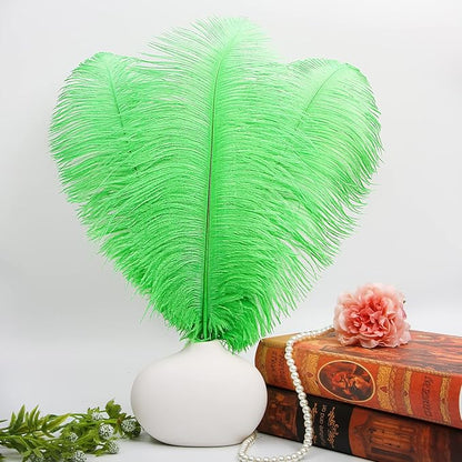 THARAHT Green Ostrich Feathers 12pcs Large Natural Bulk 16-18Inch 40cm-45cm for Wedding Party Centerpieces Mardi Gras and Home Decoration Feathers