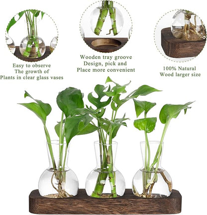 YIBOT Propagation Stations,Plant Propagation Vase,Desk Plant Terrarium with Retro Wooden Stand,Plant Lover Gifts for Women for Hydroponics Plants Home Garden Wedding Decor(3 Vase)