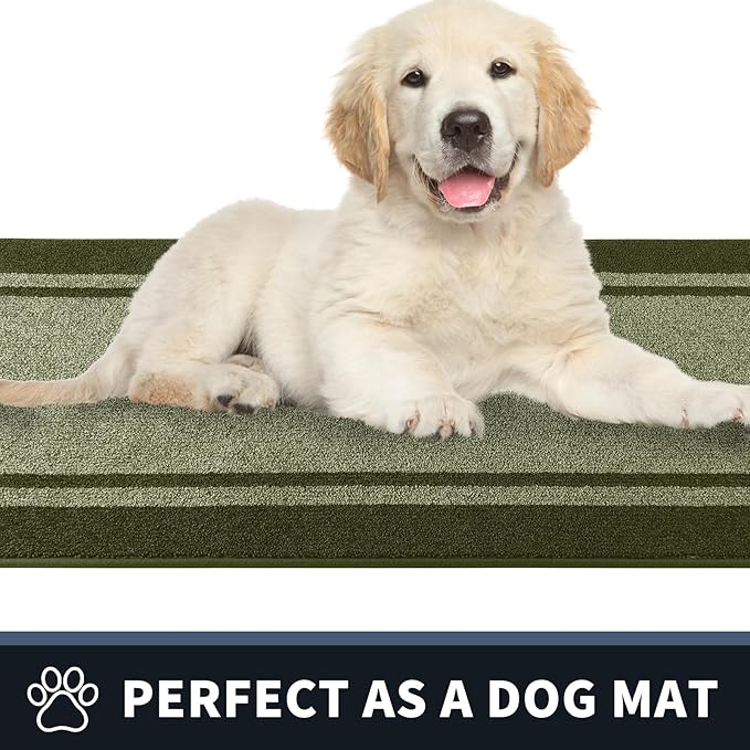 PURRUGS Dirt Trapping Door Mat 34" x 60", Non-Slip/Skid Machine Washable Entryway Rug, Shoes Scraper, Area Rug, Super Absorbent Welcome Mat for Muddy Wet Shoes and Paws, Budding Green & Sage Green