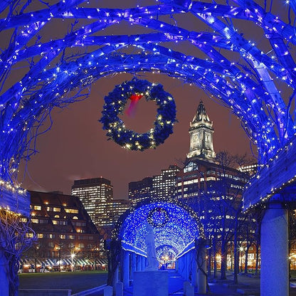HOME LIGHTING 66ft Christmas Decorative Mini Lights, 200 LED Green Wire Fairy Starry String Lights Plug in, 8 Lighting Modes, for Indoor Outdoor Xmas Tree Wedding Party Decoration (Blue)