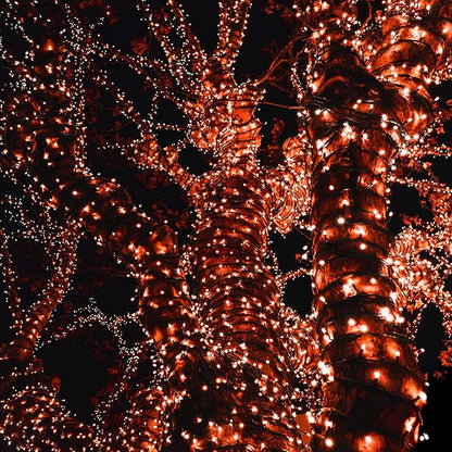 DAZZLE BRIGHT Halloween 300 LED String Lights, 100FT Connectable String Lights with 8 Lighting Modes, Halloween Decorations for Party Carnival Supplies, Indoor Outdoor Yard Garden Decor (Orange)