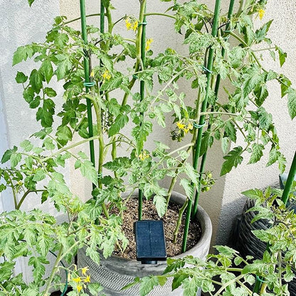 Garmeinea Garden Stakes 30 Inches Plastic Coated Steel Plant Stakes for Growing Climbing Plants, Pack of 25