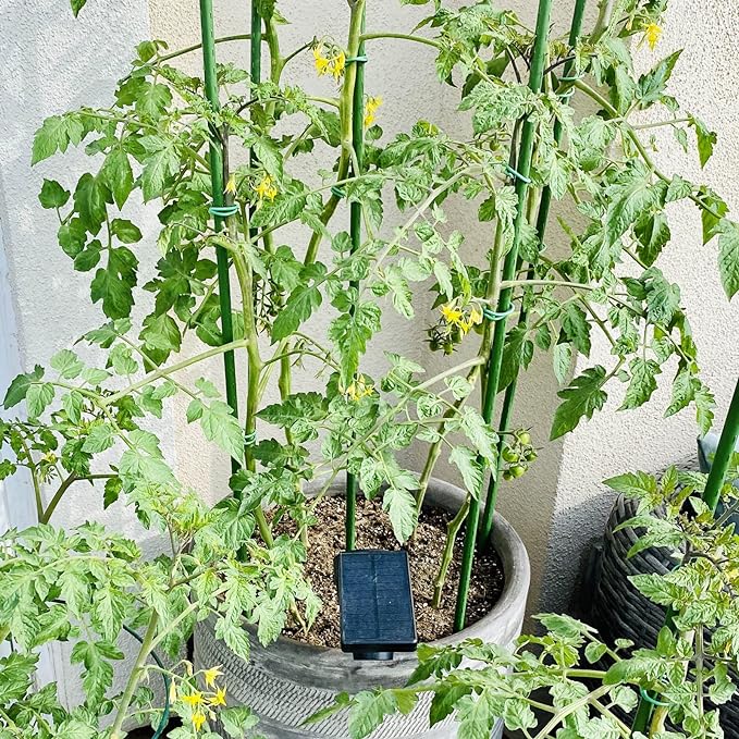 Garmeinea Garden Stakes 24 Inches Plastic Coated Steel Plant Stakes for Growing Climbing Plants, Pack of 25