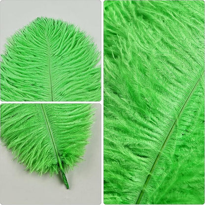 THARAHT Green Ostrich Feathers 12pcs Natural Bulk 10-12Inch 25cm-30cm for Crafts Wedding Party Centerpieces Mardi Gras and Home Decoration Feathers
