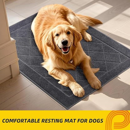 JSEI Dirt Trapper Door Mat 32"x48", Non-Slip Washable Entryway Mats, Dog Door Mat, Stain Resistant and Absorbent Floor Mats, Low Profile Welcome Mat for Front Back Door, Dark Grey