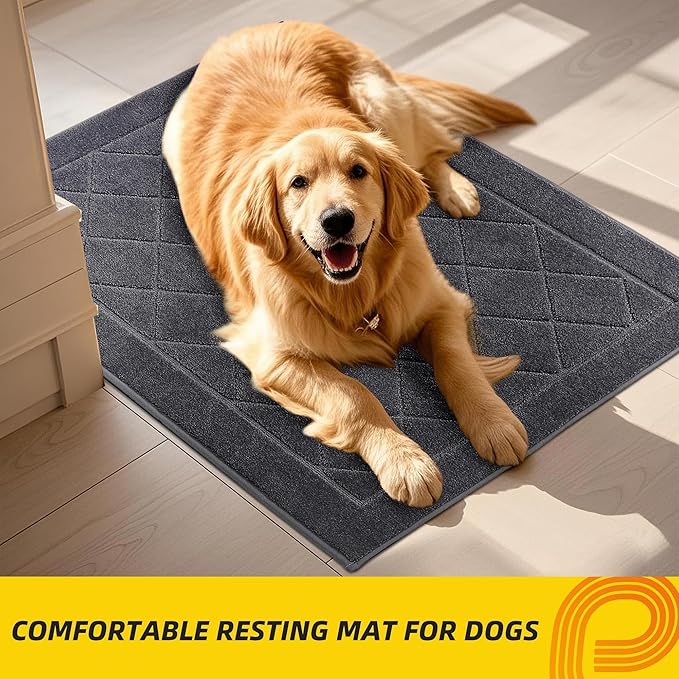 JSEI Dirt Trapper Door Mat 24"x36", Non-Slip Washable Entryway Mats, Dog Door Mat, Stain Resistant and Absorbent Floor Mats, Low Profile Welcome Mat for Front Back Door, Dark Grey