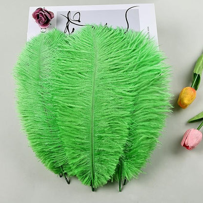 THARAHT Green Ostrich Feathers 12pcs Natural Bulk 10-12Inch 25cm-30cm for Crafts Wedding Party Centerpieces Mardi Gras and Home Decoration Feathers