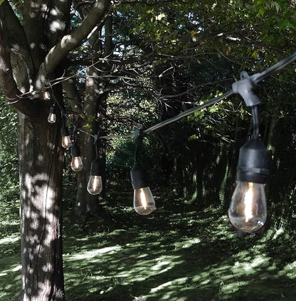 Hometown Evolution, Inc. 50 Foot E26 LED Outdoor Commercial String Lights with 25 Suspended Sockets and S14 LED Filament 1 Watt Bulbs
