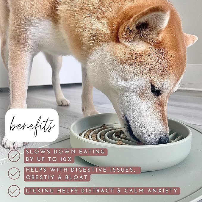 The Slowdown Bowl Silicone Slow Feeder for Dogs & Puppies, Slow Eating, Modern Lick Mat Design, Reduces Gulping, Fits 2 Cups 7.5” Across x 1.5” Tall, Mealtime Challenge, Medium-Ocean