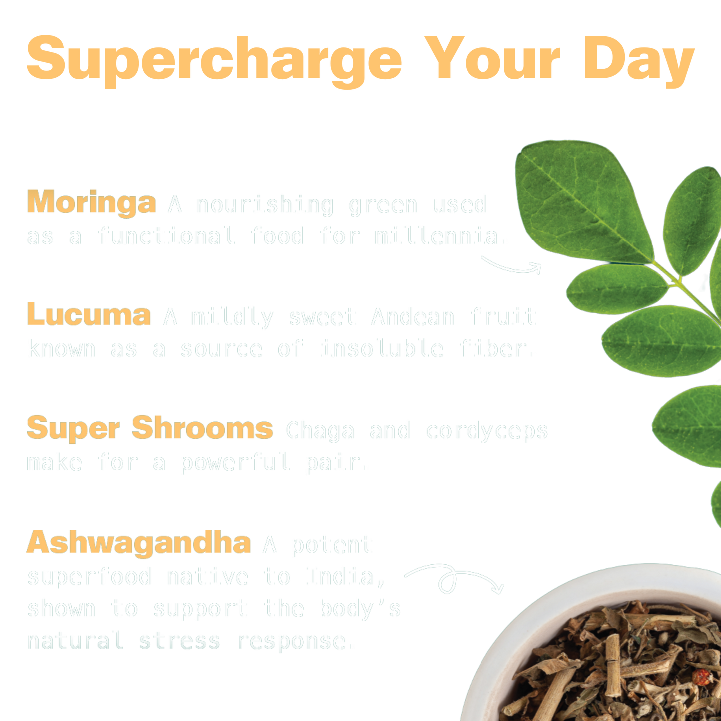 Organic Superfood Energy Shake - Chocolate Peanut Butter