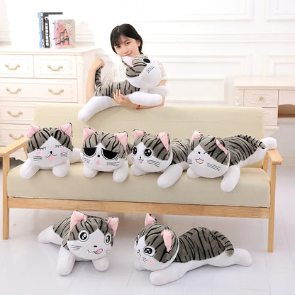 Cat Plush Toys Chi Chi's Cat Stuffed Doll Soft Animal Dolls Cheese Cat Stuffed Toys Dolls Pillow Cushion For Kids sweet cat doll