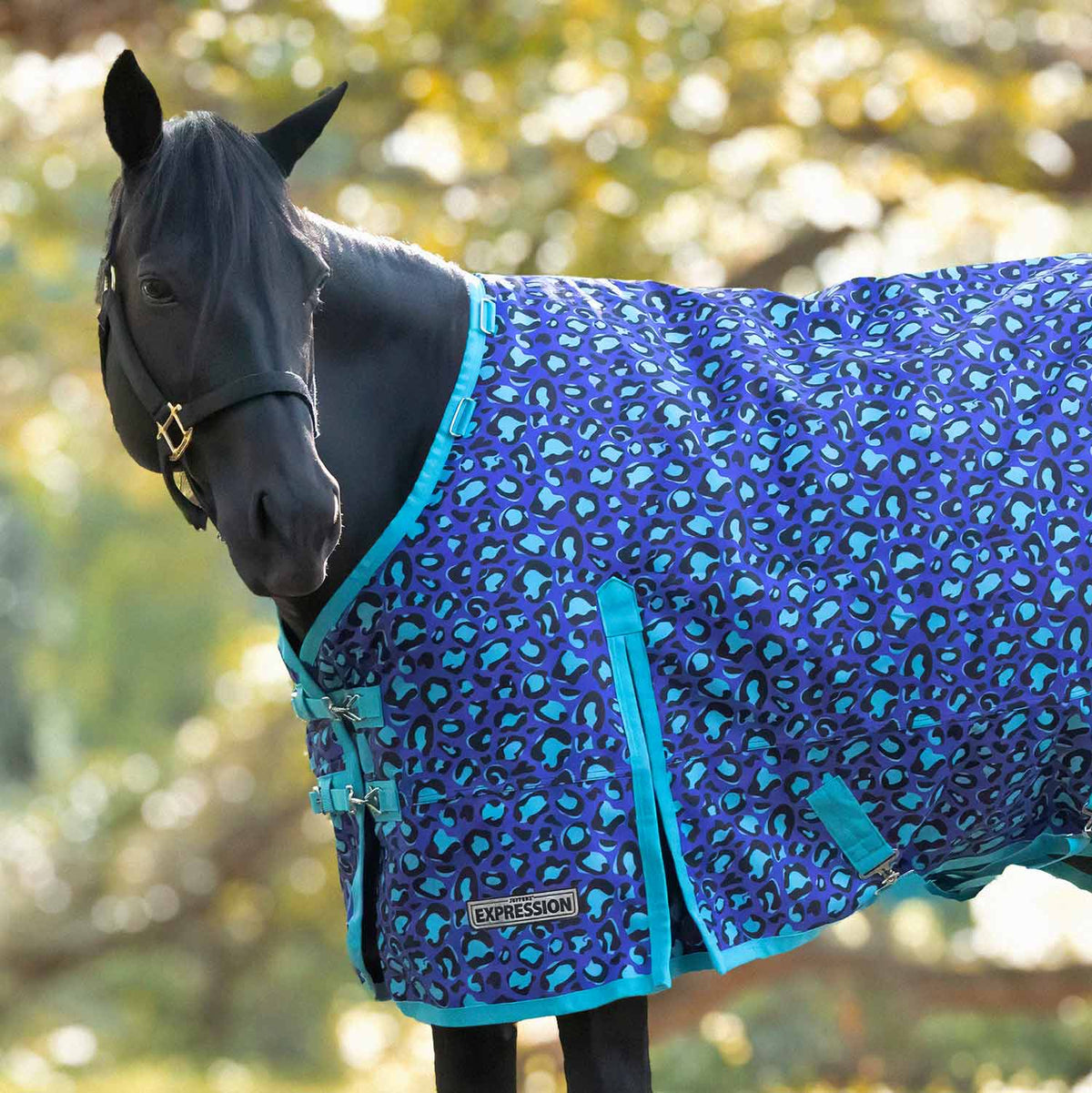 Jeffers Expression 1200 Denier Standard Neck Turnout Horse Blanket, 240 Gram
