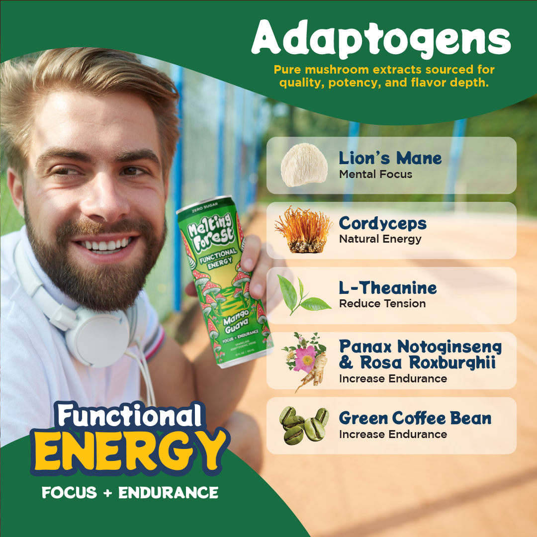 Mushroom Energy Drink 12 Pack - Mango Guava