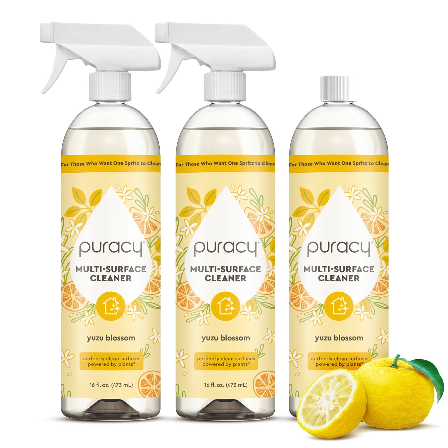 Everyday Multi-Surface Cleaner